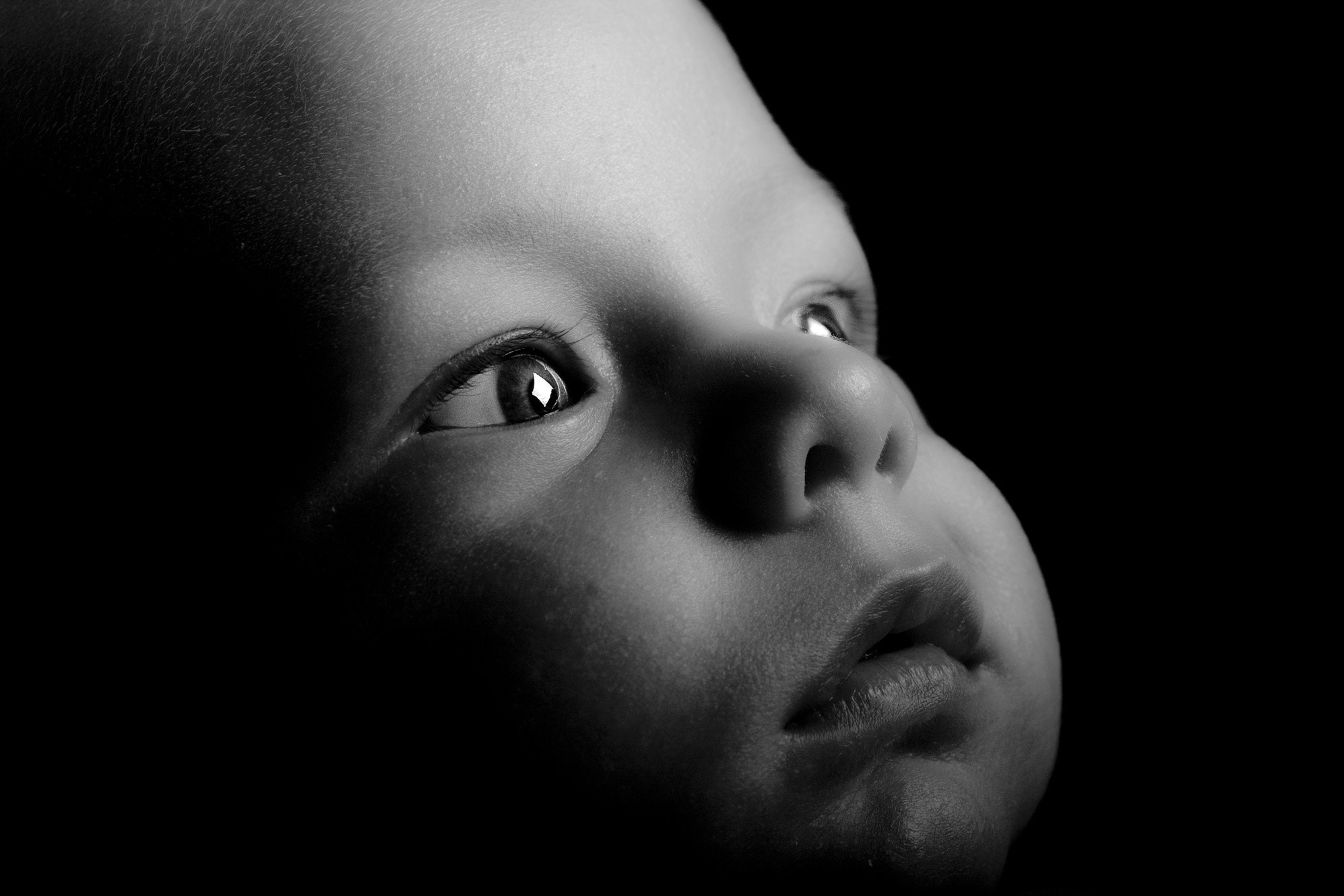 Jouets pour bébés noirs et blancs à contraste élevé pendant 0-3 mois, livre  doux et non toxique pour bébés avec chiffres et animaux pour le jeu sur le  ventre et le lit